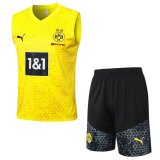 maglia gilet Borussia Dortmund giallo 2024