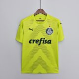 Portiere maglia Palmeiras Verde 2023