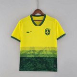 maglia Brasile Edizione speciale 2023 giallo verde